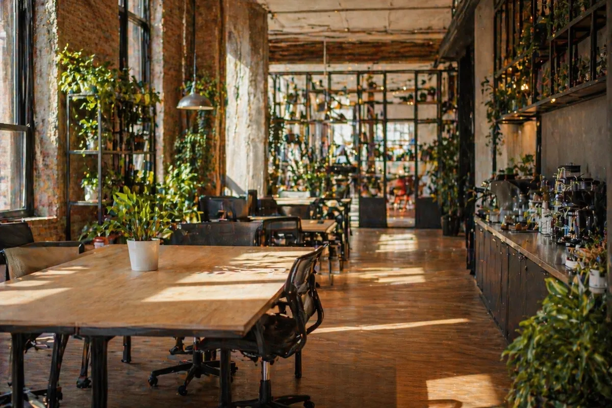 Light-filled co-working space with exposed brick walls, trailing plants and wooden desks in warm afternoon sun